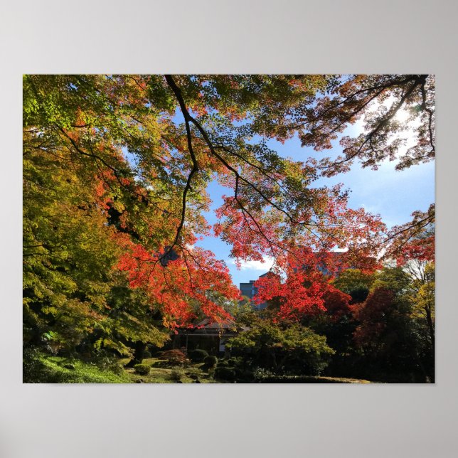 Poster Red Maples au Jardin Japonais (Devant)