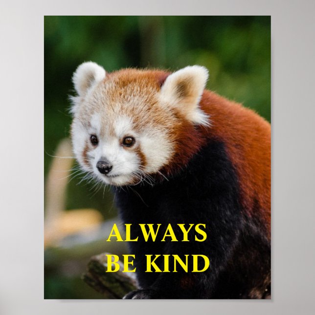 Poster Red Panda Be Kind Citation Inspirationnelle Person (Devant)