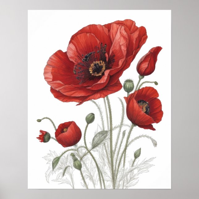 Poster Red Poppies (Devant)