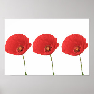 Poster Red Poppies Imprimer
