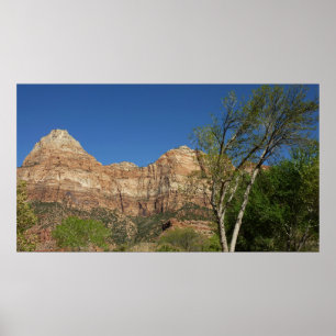 Poster Red Rocks à Zion National Park Photographie