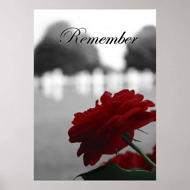 Poster Red Rose Memorial Day (Devant)