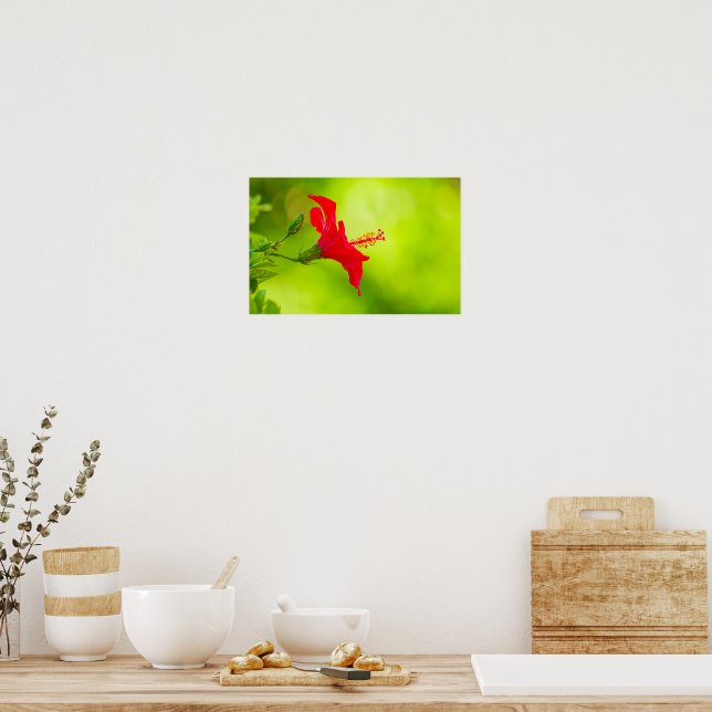 Poster 🌺 Red Tropical Kiss 💋 (Cuisine)