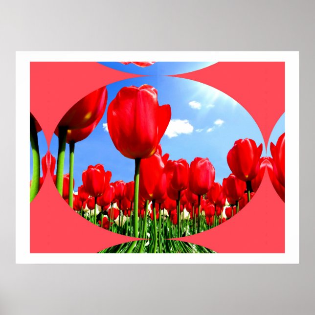 Poster Red Tulip Delft (Devant)