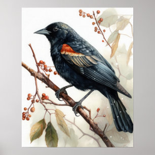 Poster Red Winging Blackbird Oiseau Art Imprimer l'affich