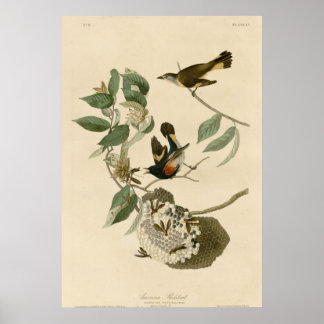 Poster Redémarrage américain