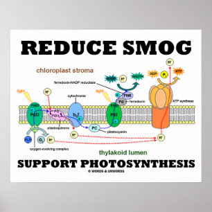 Poster Réduisez la photosynthèse de soutien de brouillard