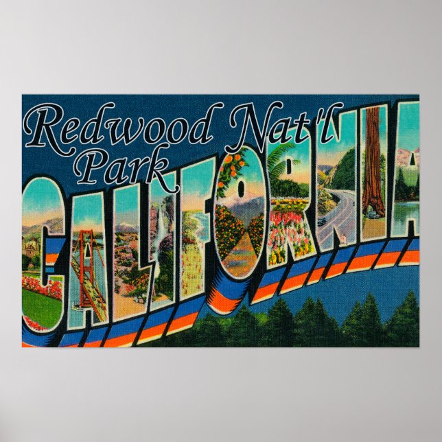 Poster Redwood Nat'l Park, Californie (Devant)