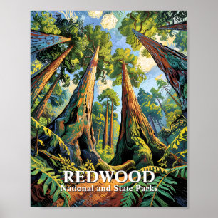 Poster Redwoods National Park Californie personnalisé Van