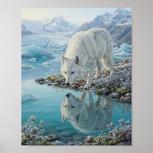 Poster Reflet d'eau de lagon glaciaire du loup arctique