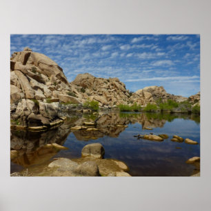 Poster Reflet du Barker Dam à Joshua Tree I