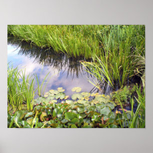 Poster Reflet du ciel dans le lac avec des lis