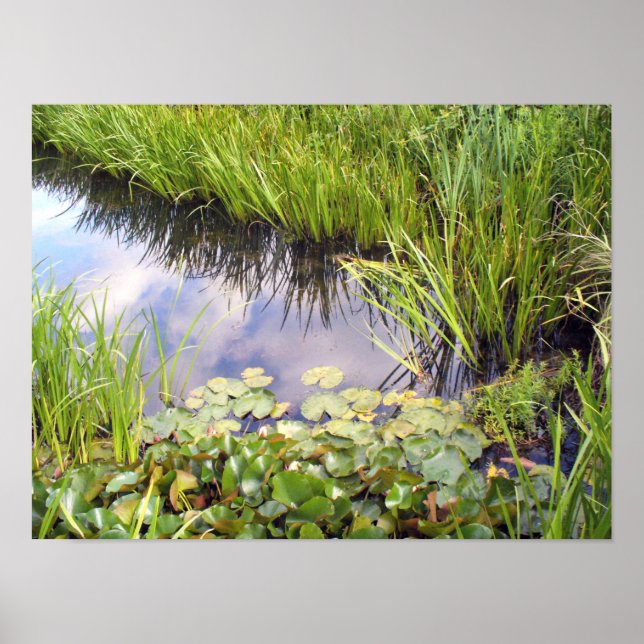 Poster Reflet du ciel dans le lac avec des lis (Devant)