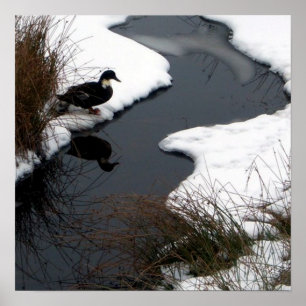 Poster Reflétez l'affiche