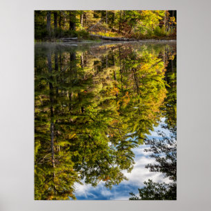 Poster Reflets dans l'étang Red Eagle Montagnes Blanche