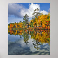 Reflets d'étang en automne, Maine