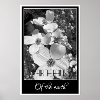 Poster Reflets en noir et blanc pour l'affiche de beauté