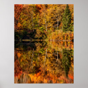 Poster Réflexion automnale sur Coffin Pond