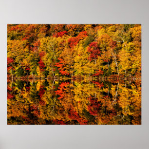 Poster Réflexion d'automne sur le lac Russell   New Hamps