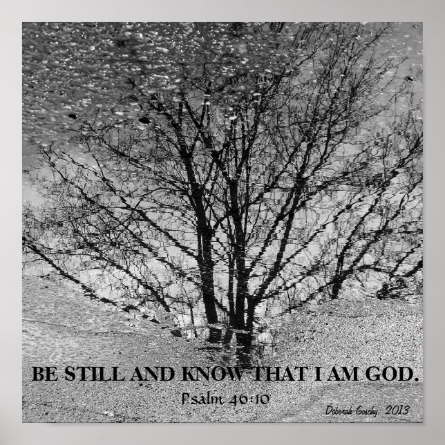 Poster Réflexion de l'arbre noir et blanc (Devant)