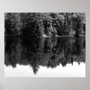 Poster Réflexion des arbres noirs et blancs dans l'eau 16