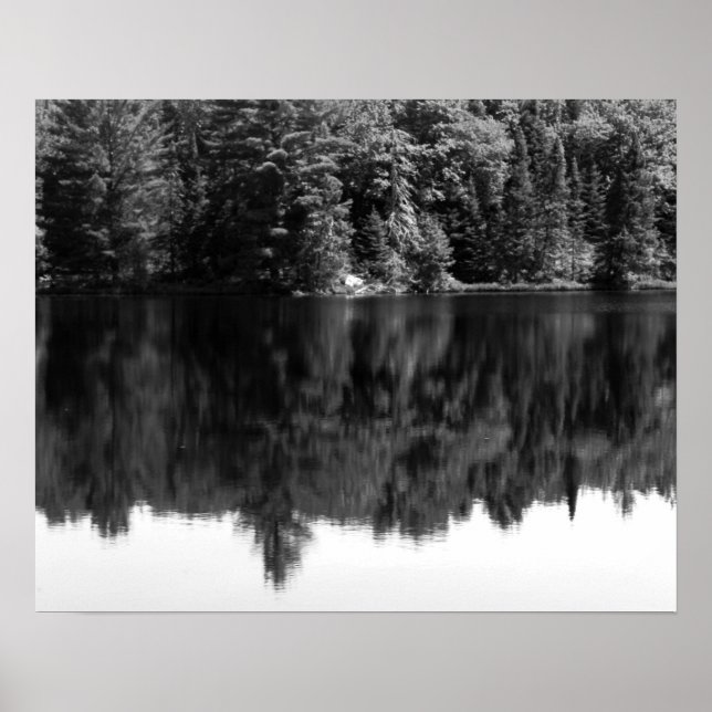 Poster Réflexion des arbres noirs et blancs dans l'eau 16 (Devant)