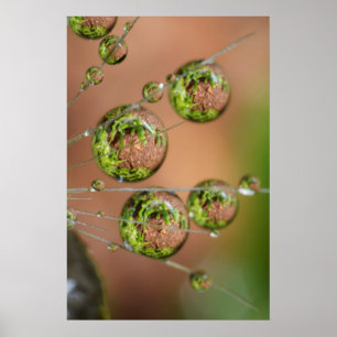 Poster Réflexion des gouttelettes d'eau