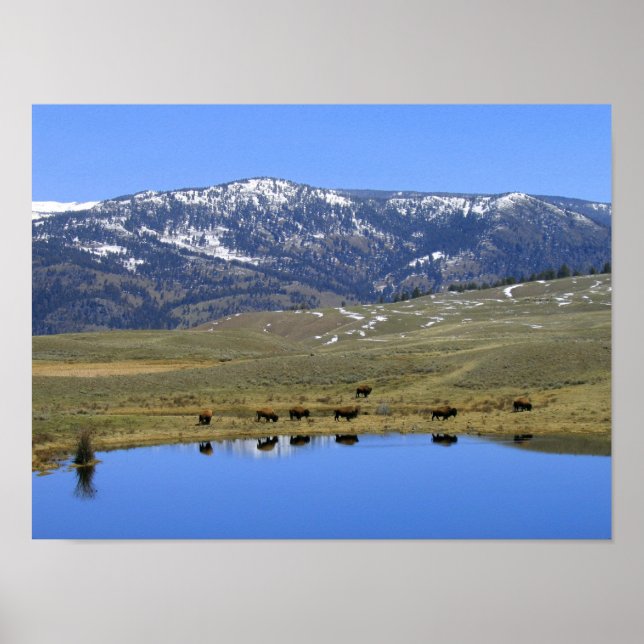 Poster Réflexion naturelle (Devant)