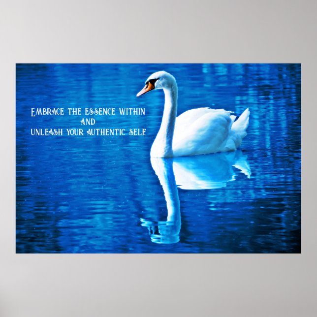 Poster Réflexion sur le cygne inspiré bleu et blanc (Devant)