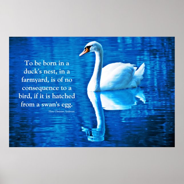 Poster Réflexion sur le cygne inspiré bleu et blanc (Devant)