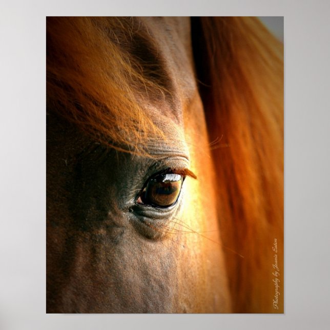 Poster Réflexions (Devant)