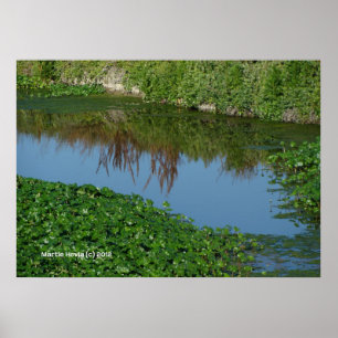 Poster Réflexions en vert