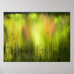 Poster Réflexions sur le lac Mirror Yosemite