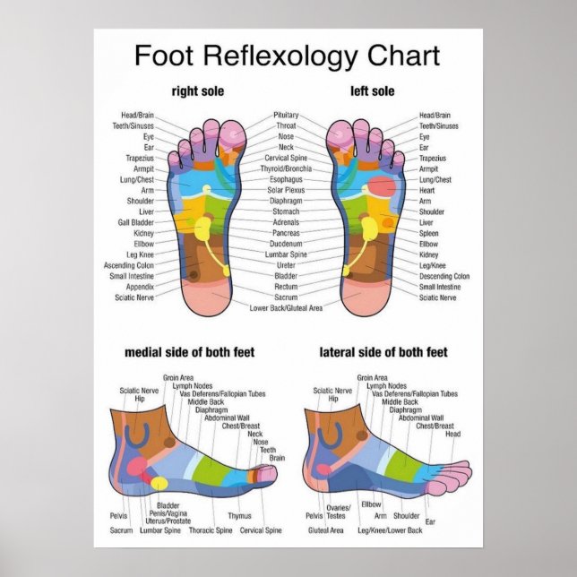 Poster Réflexologie des pieds -18 x 24 pouces (Devant)