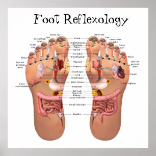 Poster Réflexologie des pieds 24x24 pouces