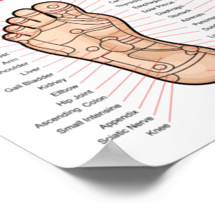 Poster Réflexologie du pied : 11x8"
