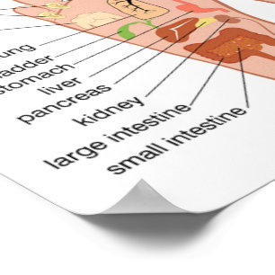 Poster Réflexologie du pied 12x10 pouces