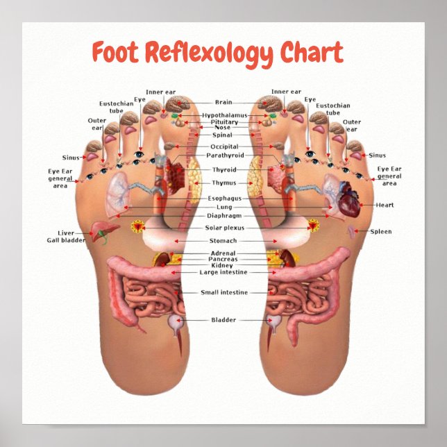 Poster réflexologie du pied 12x12" (Devant)