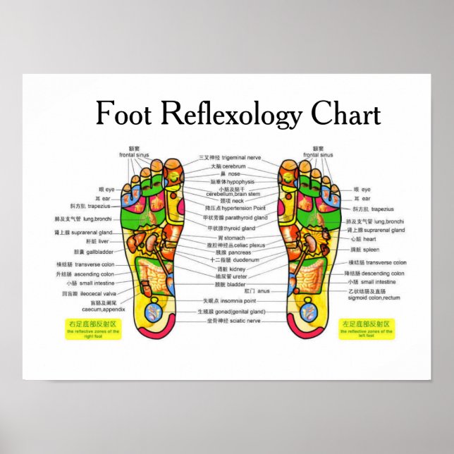 Poster Réflexologie du pied -16x12" (Devant)