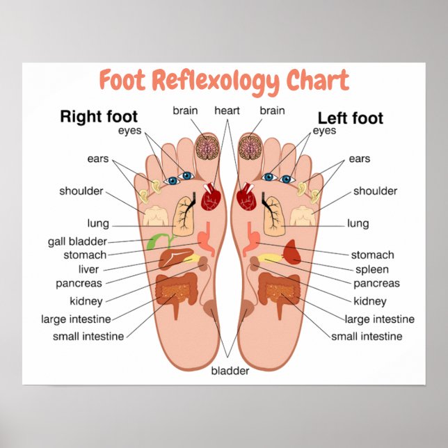 Poster Réflexologie du pied 20x16" (Devant)