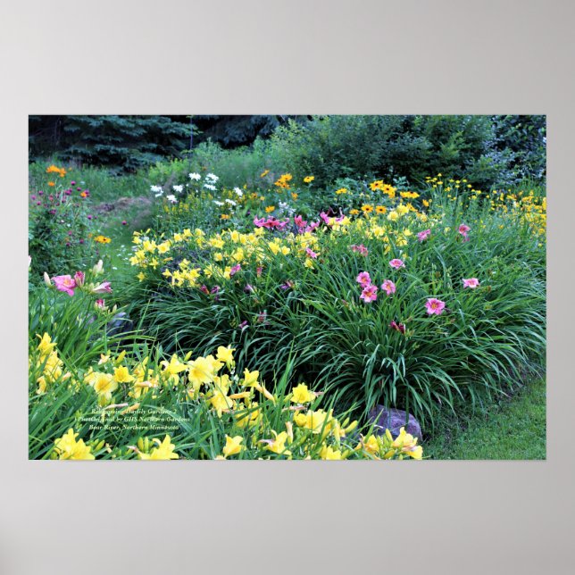 Poster Refloroming Daylily Gardens (Devant)