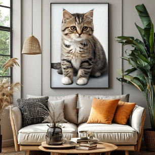 Poster Regard de chat perdu dans le temps