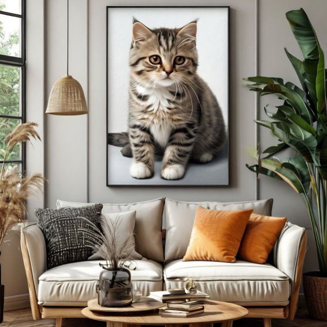 Poster Regard de chat perdu dans le temps (Créateur téléchargé)