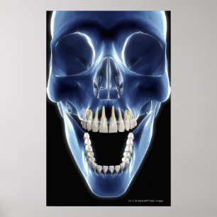 Poster Regard de style de rayon X aux dents humaines