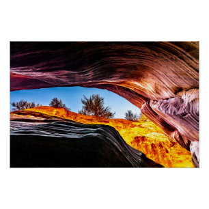 Poster Regardant vers le haut dans le canyon Peekaboo
