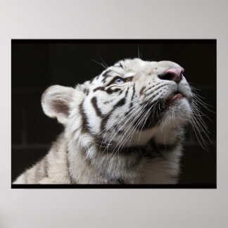 Poster Regarde la Lumière !