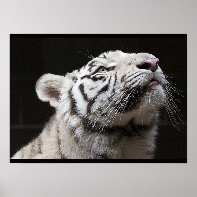 Poster Regarde la Lumière ! (Devant)