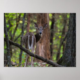 Poster Regarder le passé