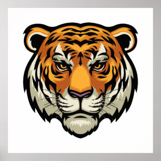 Poster Regarder le tigre en ébullition