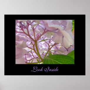 Poster Regarder l'impression d'art intérieur Healing Touc